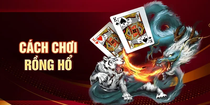 Cách chơi Rồng hổ