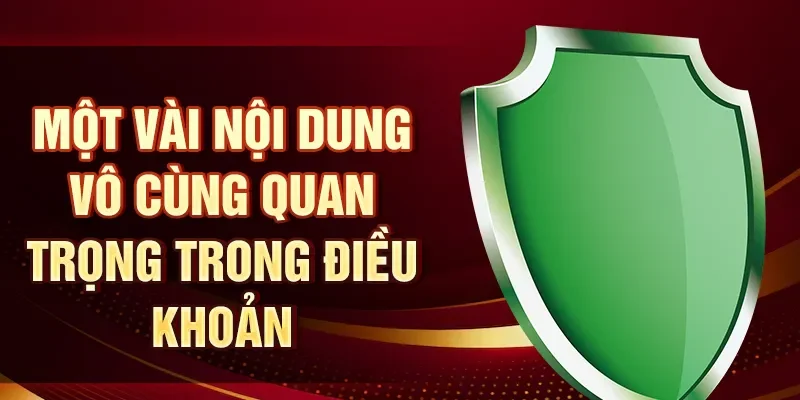 Một vài nội dung vô cùng quan trọng trong điều khoản