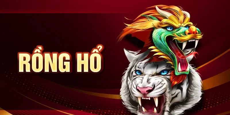 Rồng hổ 79KING